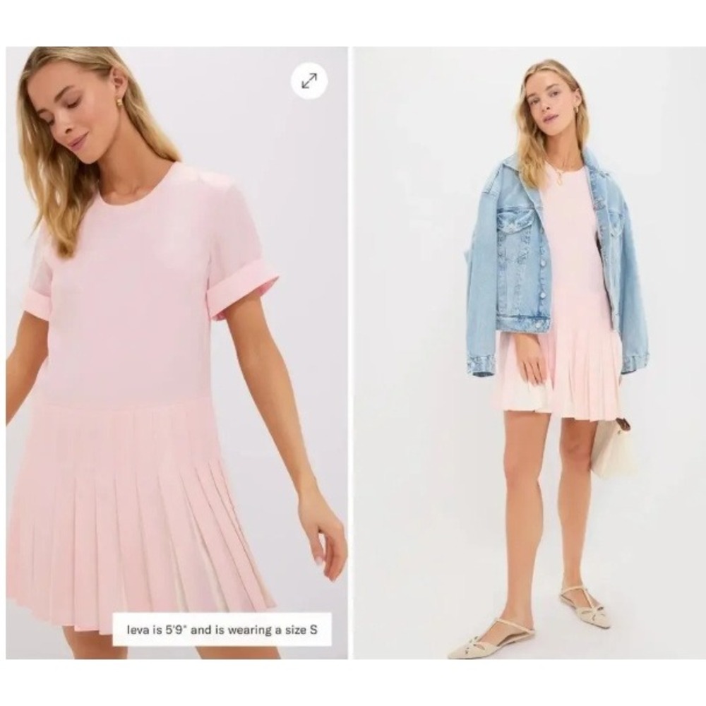 Tuckernuck Pink Tencel Pleated Drop Waist Mini Dress XXL Short Sleeve Blush